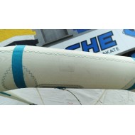 DUOTONE EVO 2020 10m occasion