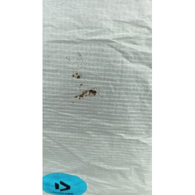 DUOTONE EVO 2020 10m occasion