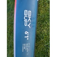 Fanatic Sky Sup 105L Occasion