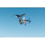 REEDIN Feather board 2026