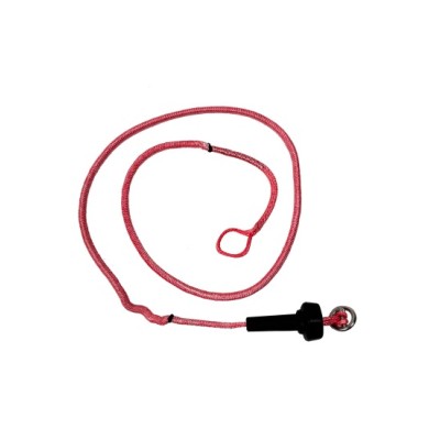 REEDIN Flagging Line Dreamstick X V2.5