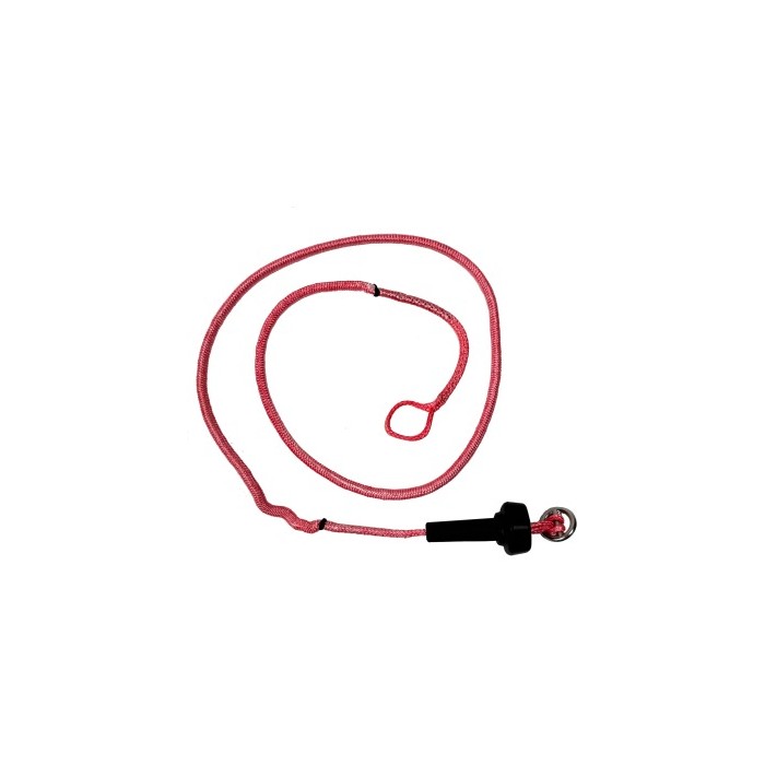 REEDIN Flagging Line Dreamstick X V2.5