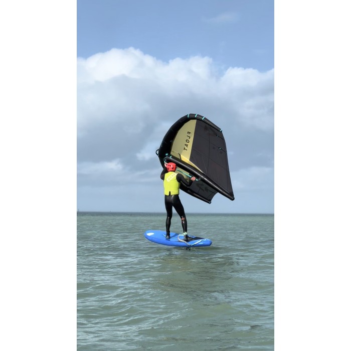Cours de Wing-Foil 2H