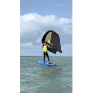Cours de Wing-Foil 2H