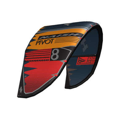 NAISH Pivot 2020