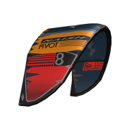 NAISH Pivot 2020
