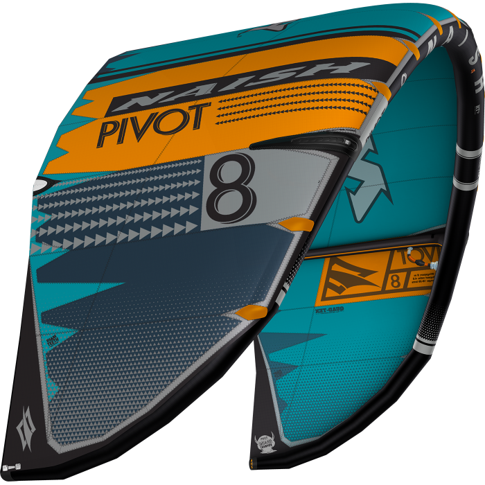 NAISH Pivot 2020