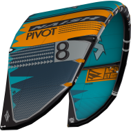 NAISH Pivot 2020