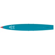STARBOARD Sprint 2021 Wood carbon
