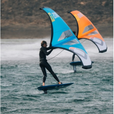 OZONE Wing WASP V2