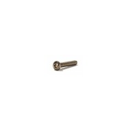 Clinique Vis Inox M8 TÊTE CYLINDRIQUE BOMBÉE Torx T45