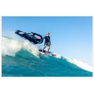 Reedin SuperNatural Wing  2.5 2023 Occasion